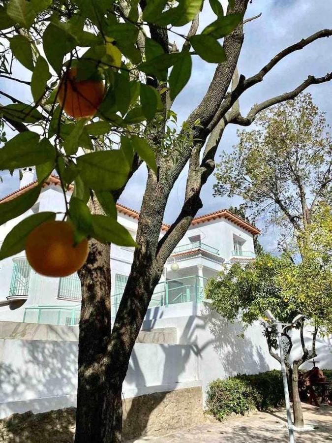 Nuevo Los Almendros 202 Complejo Turístico Córdoba Exterior foto